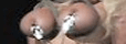 Breast Torture